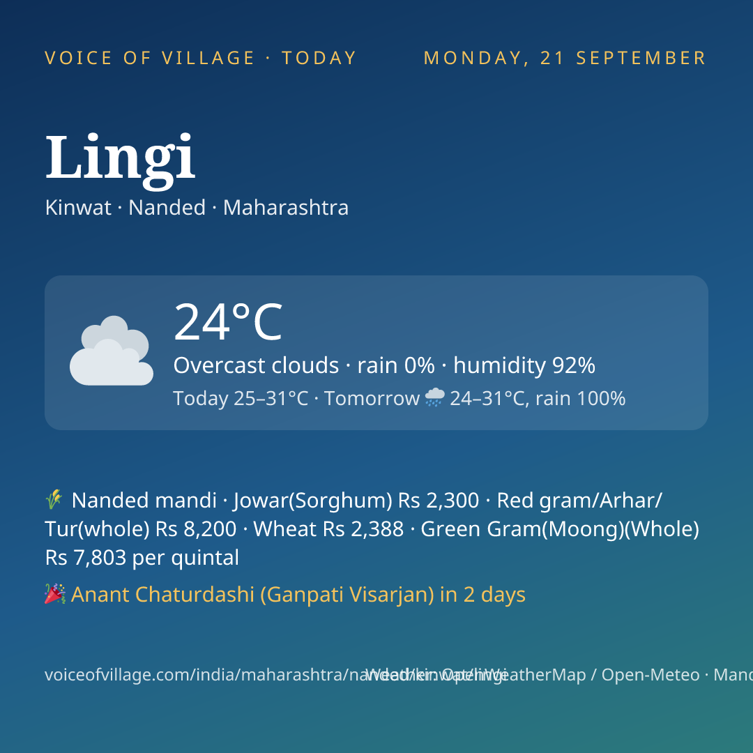 Lingi today