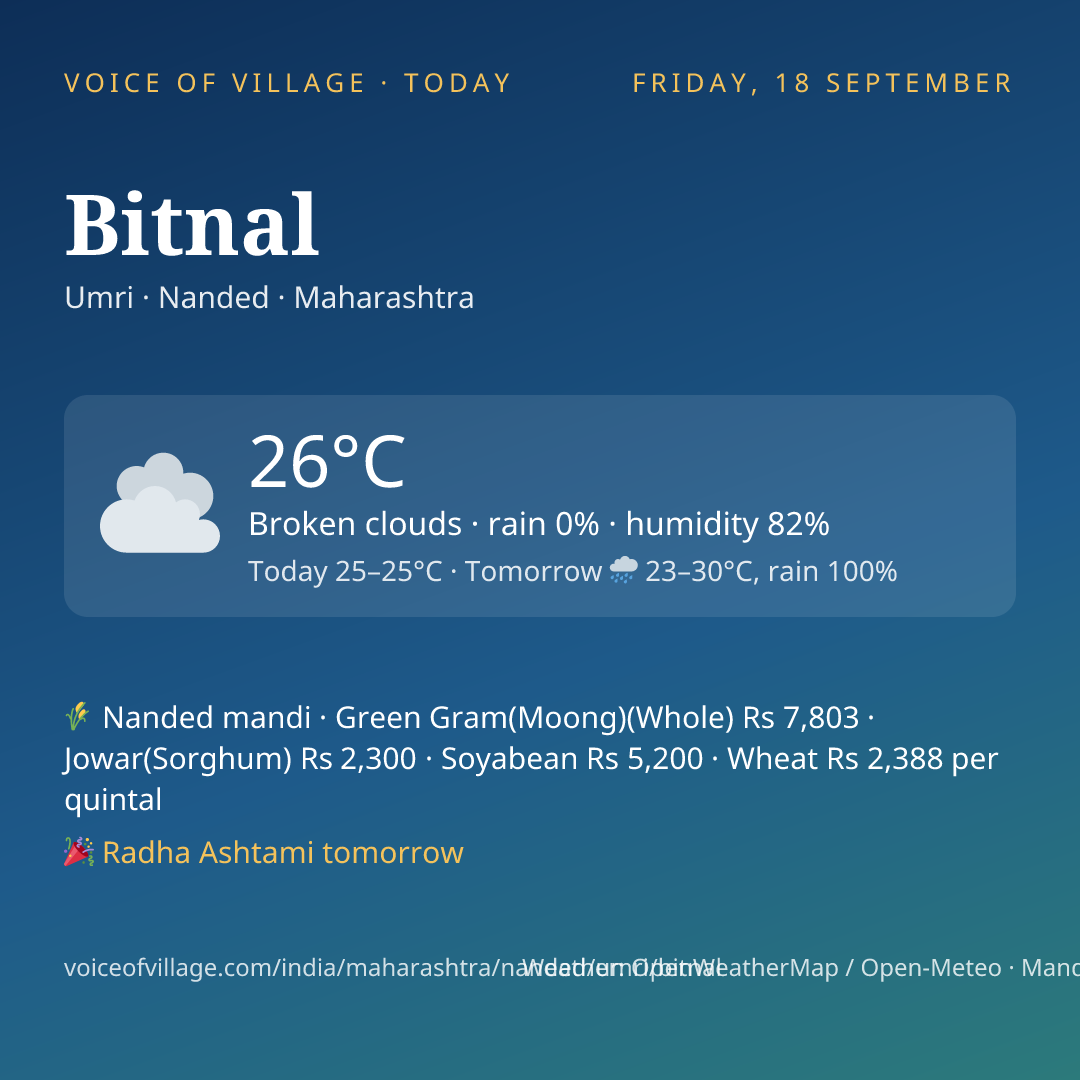 Bitnal today