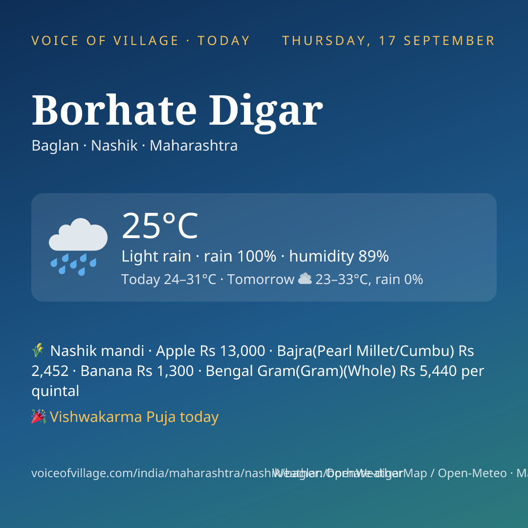 Borhate Digar today