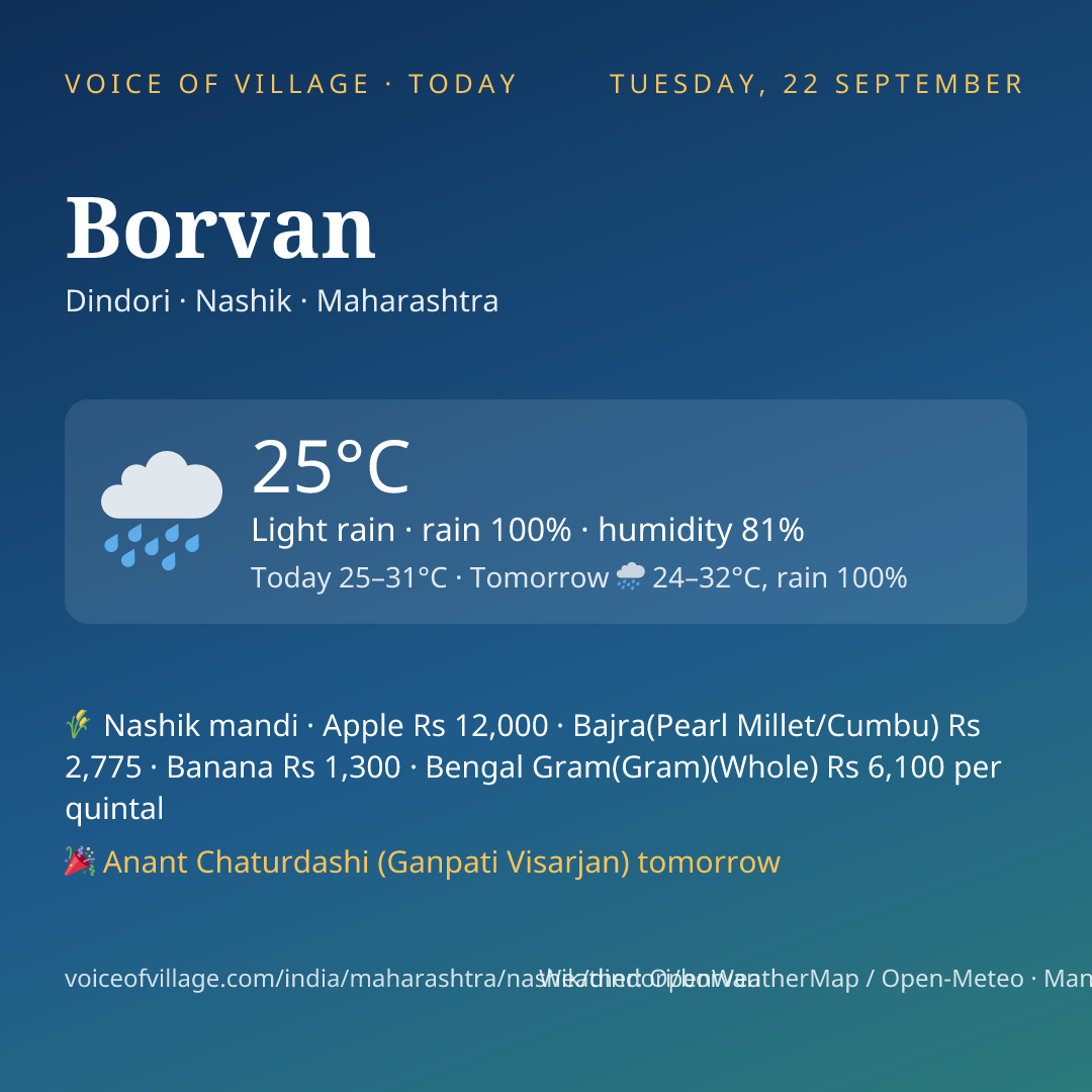 Borvan today