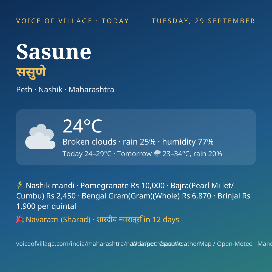 Sasune today