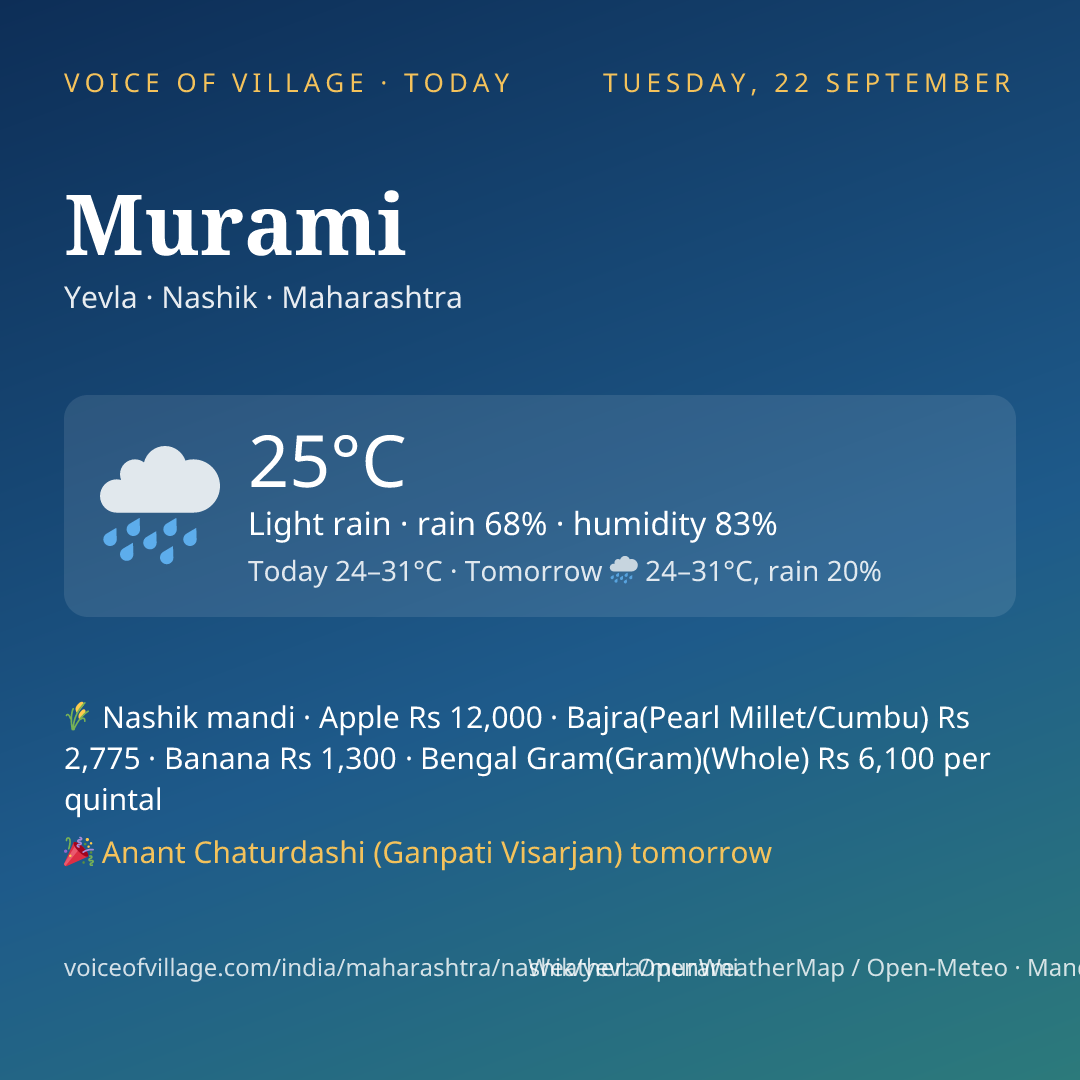 Murami today