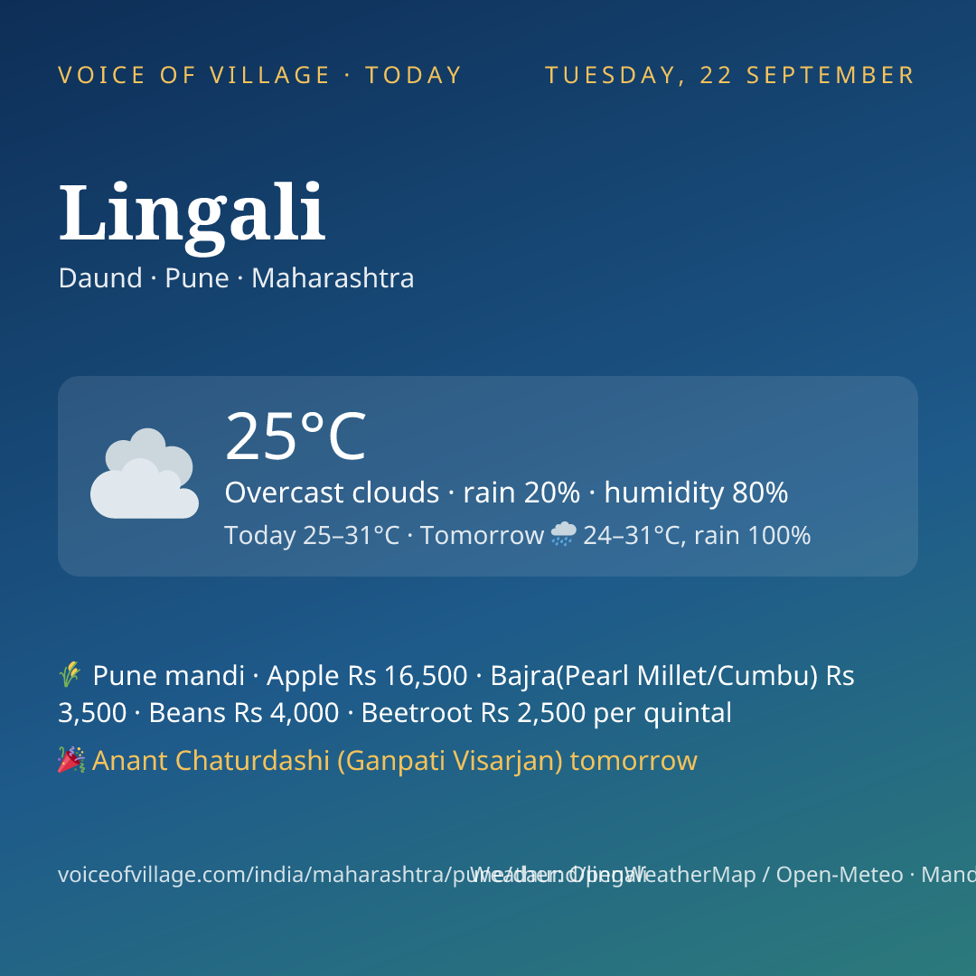 Lingali today
