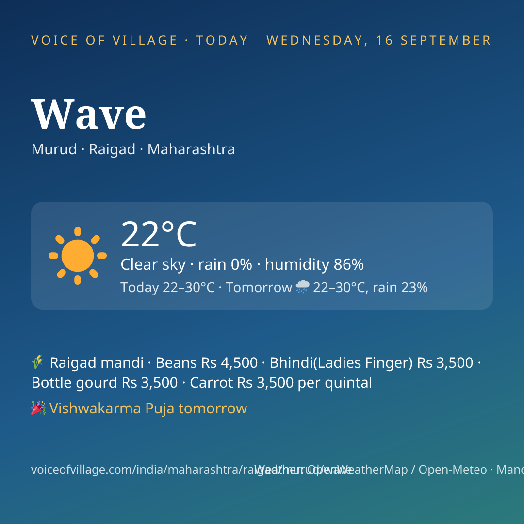 Wave today