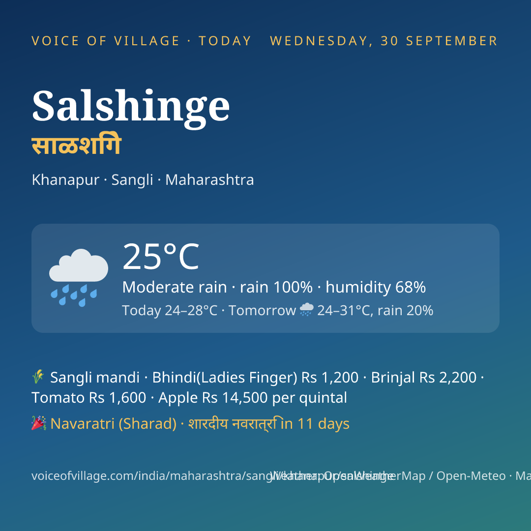 Salshinge today