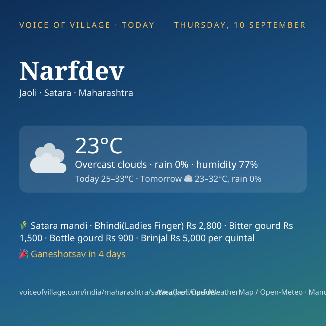 Narfdev today