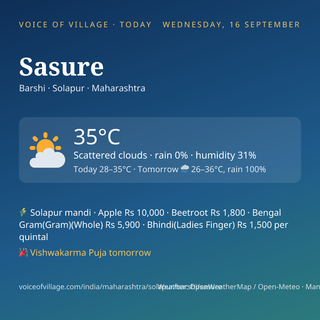 Sasure today