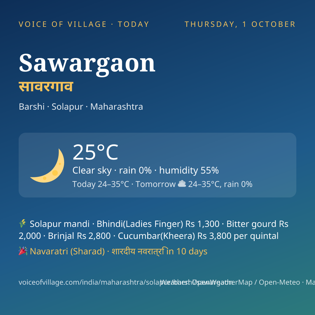 Sawargaon today