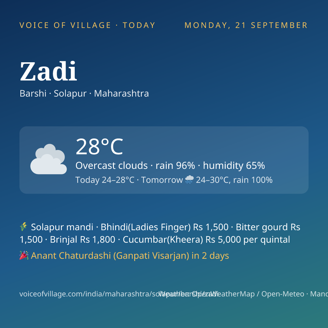 Zadi today