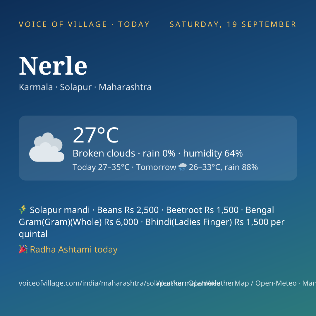Nerle today