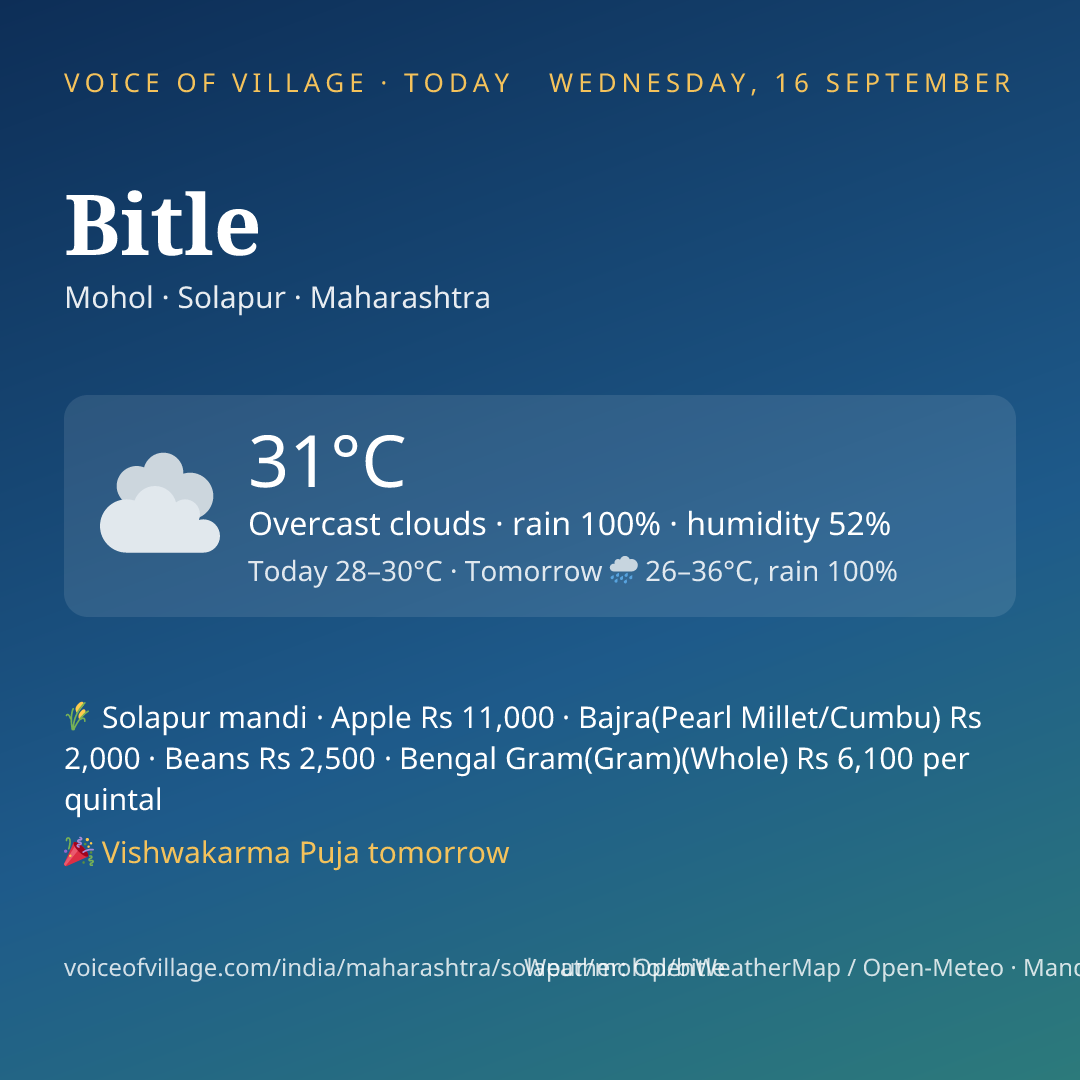 Bitle today