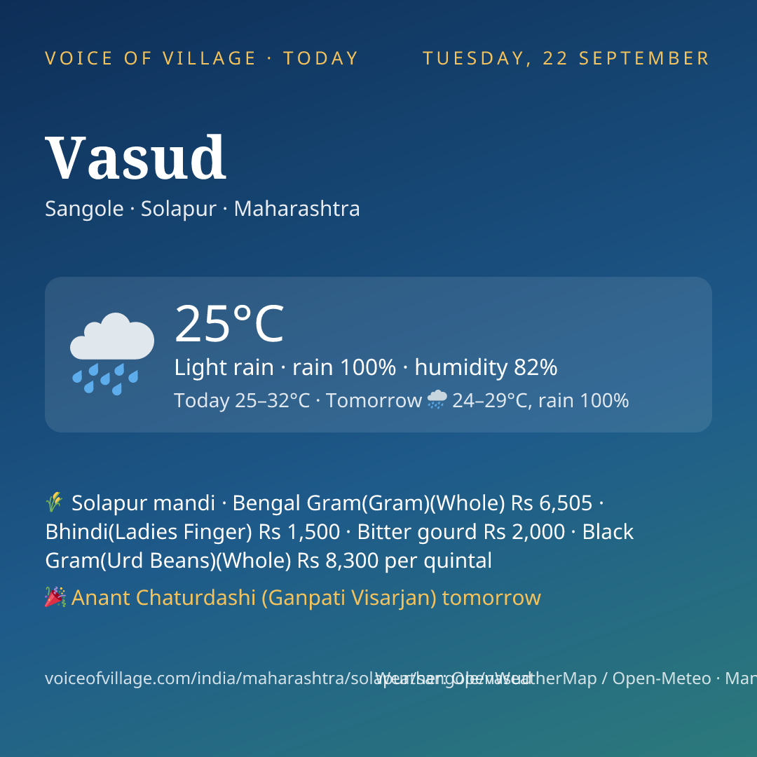 Vasud today