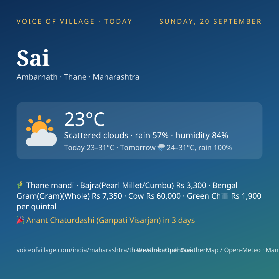 Sai today