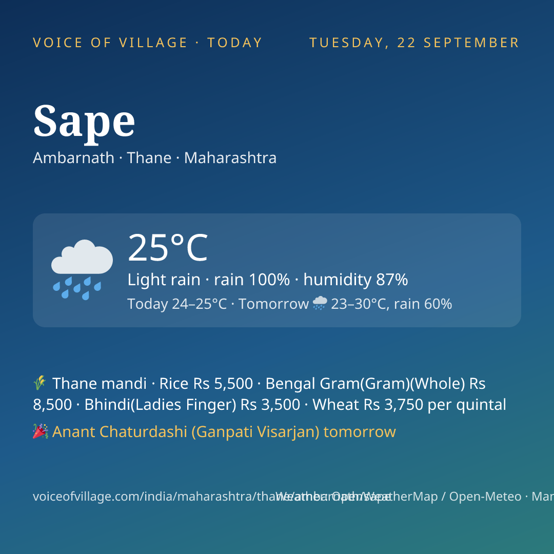 Sape today