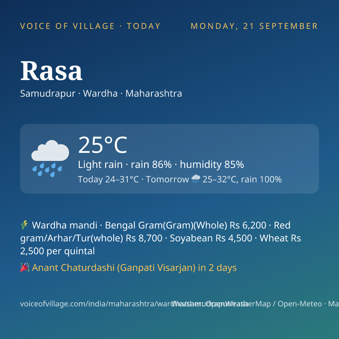 Rasa today