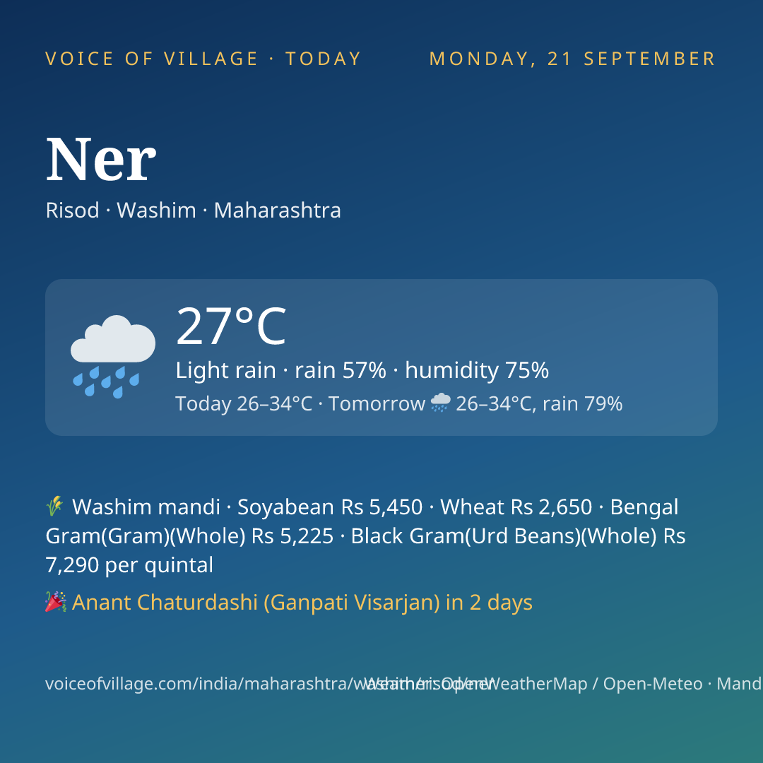 Ner today