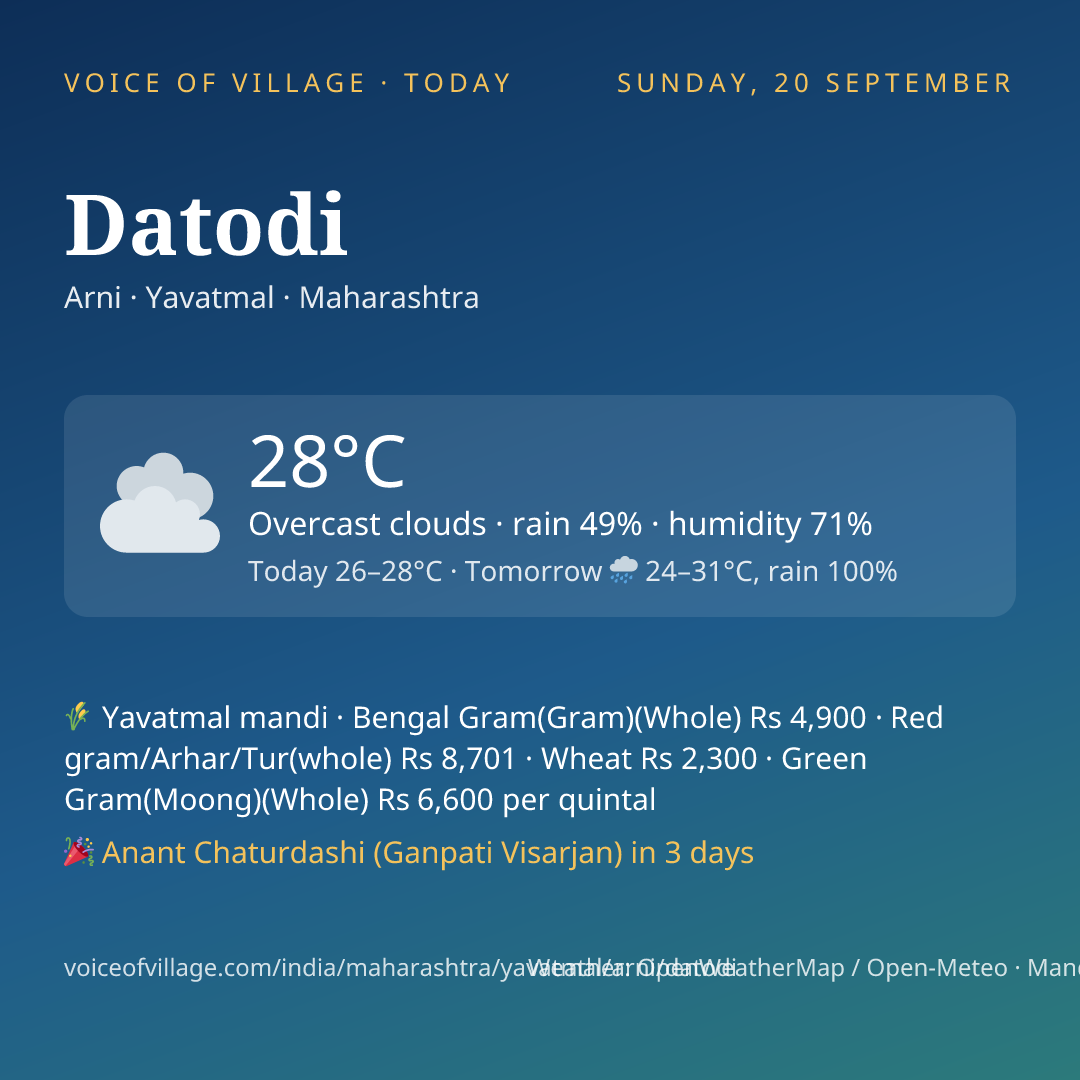 Datodi today