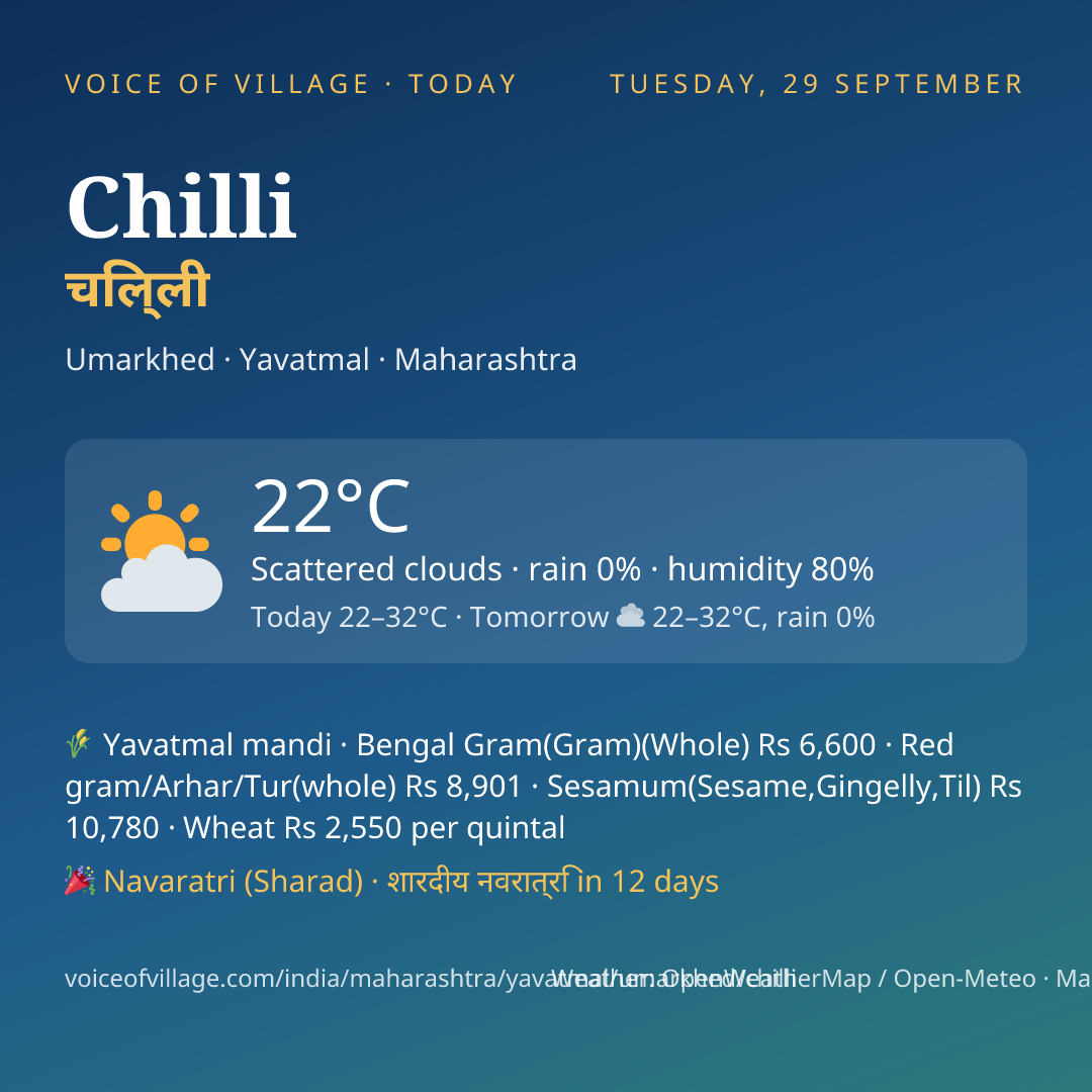 Chilli today