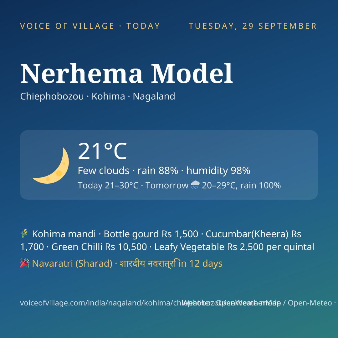 Nerhema Model today
