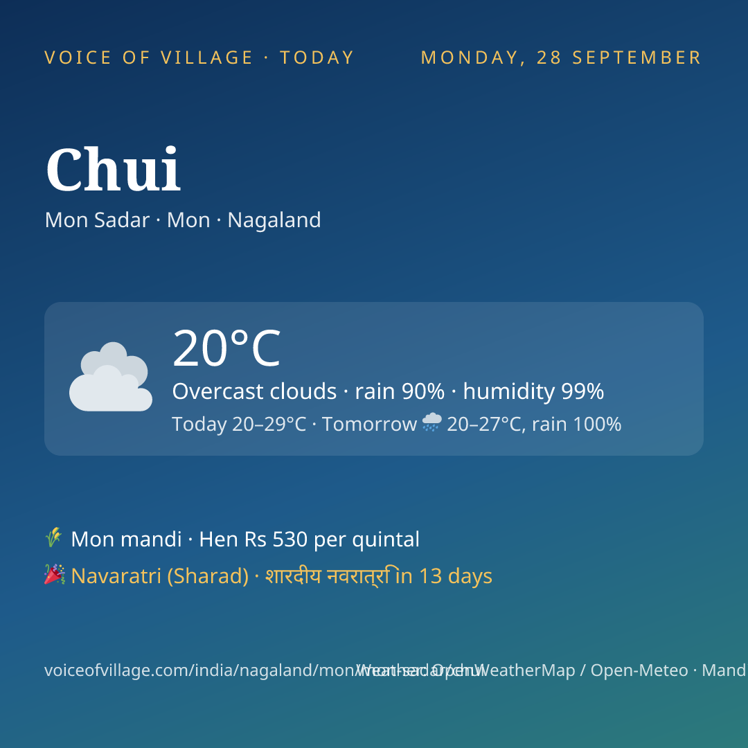 Chui today