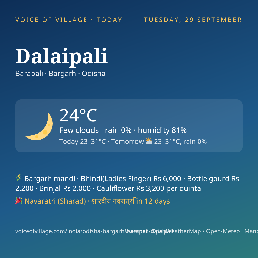 Dalaipali today