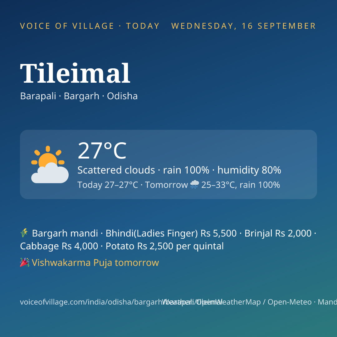 Tileimal today