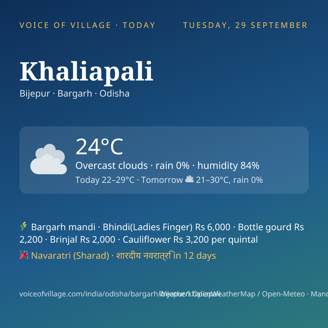 Khaliapali today