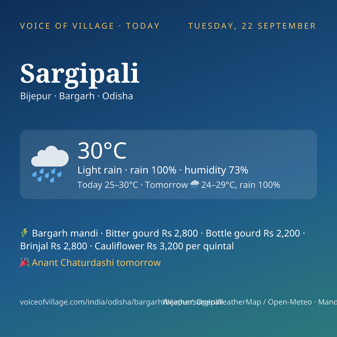 Sargipali today