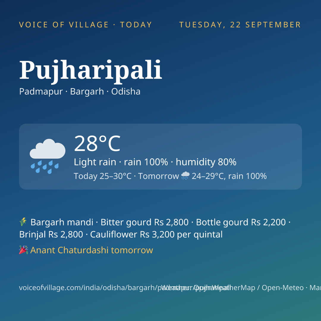 Pujharipali today