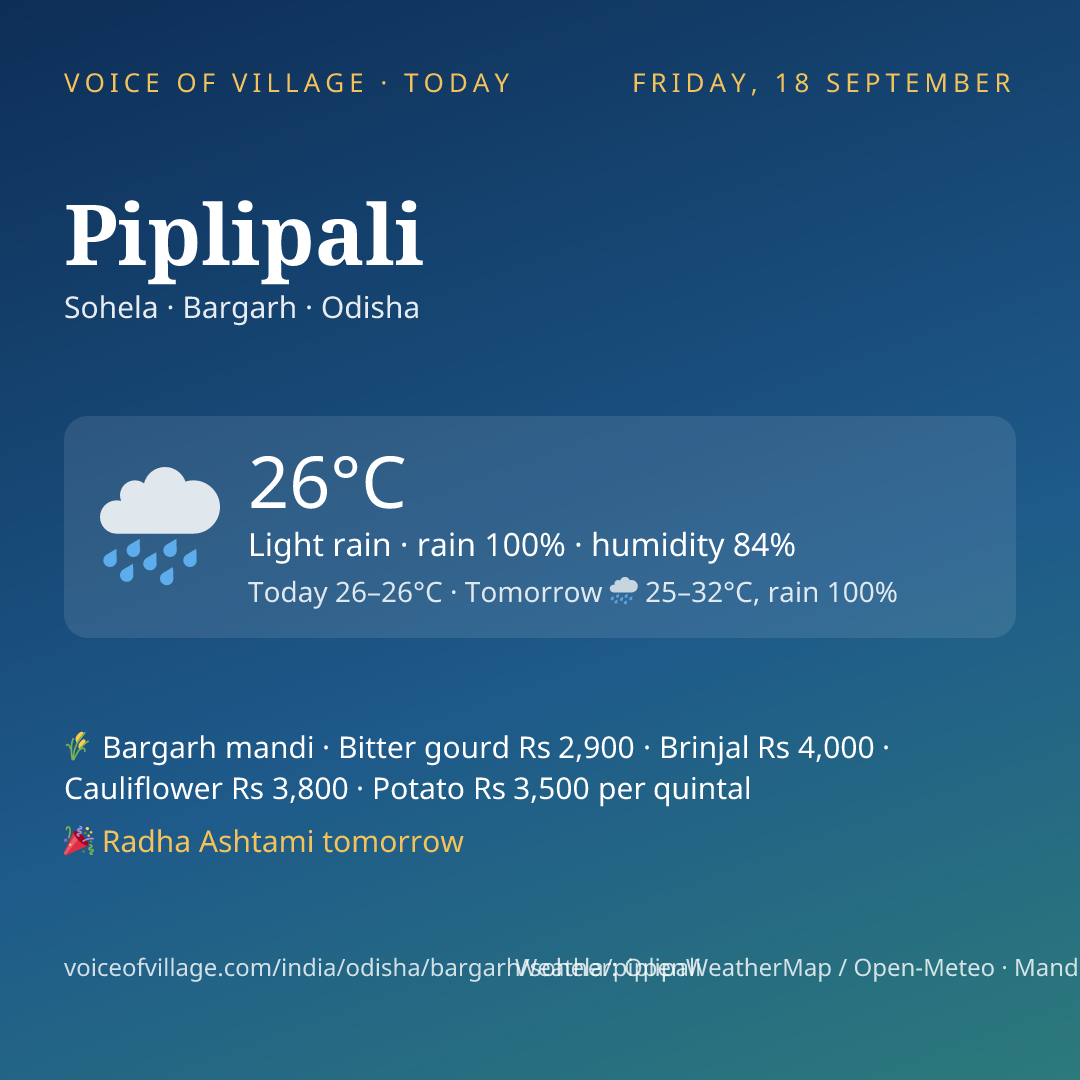Piplipali today