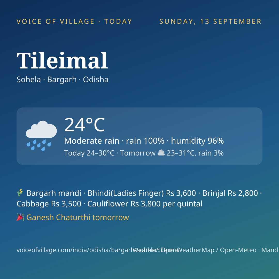 Tileimal today