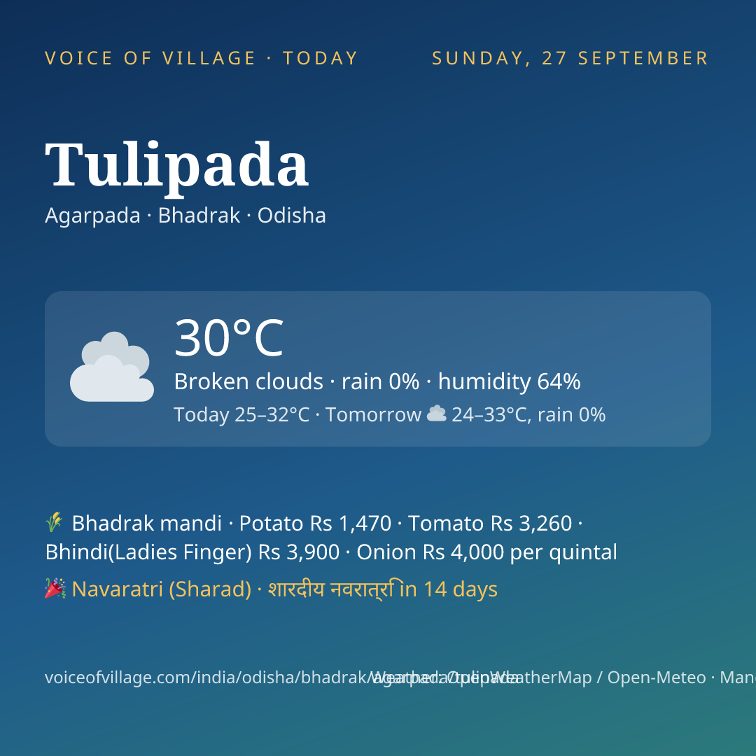 Tulipada today
