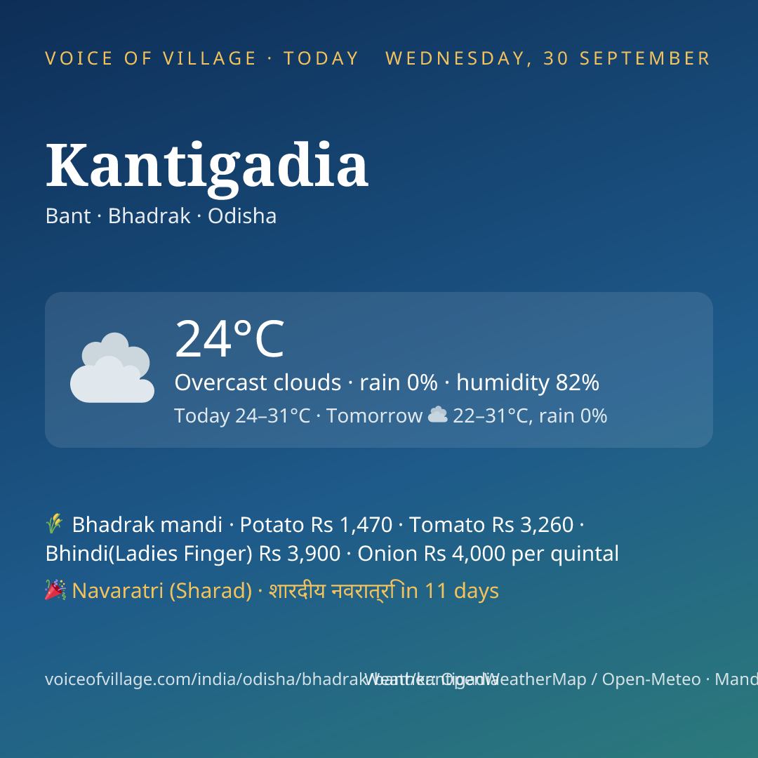 Kantigadia today
