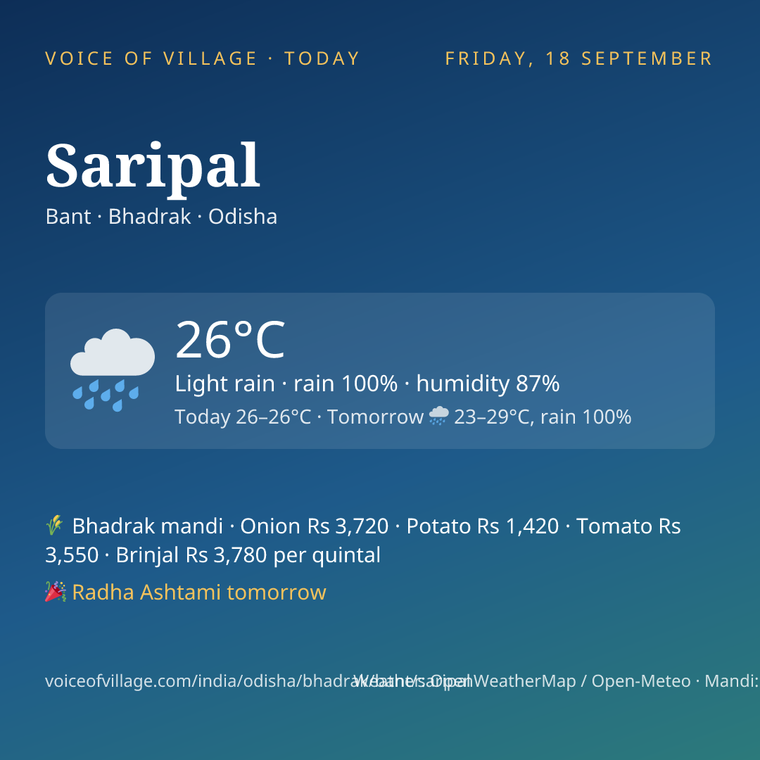 Saripal today