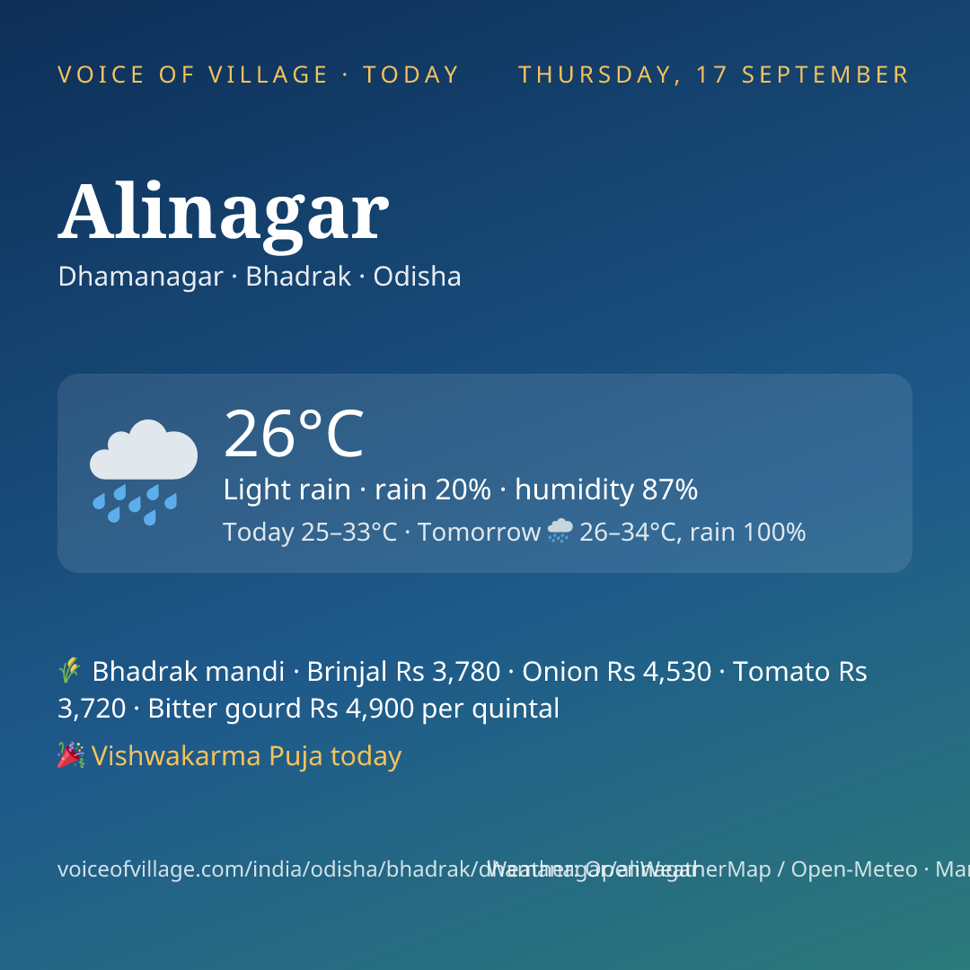 Alinagar today