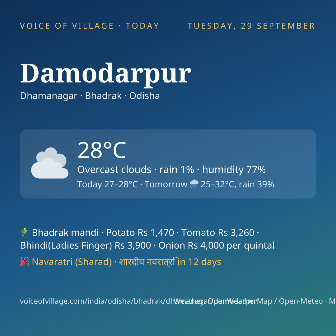 Damodarpur today