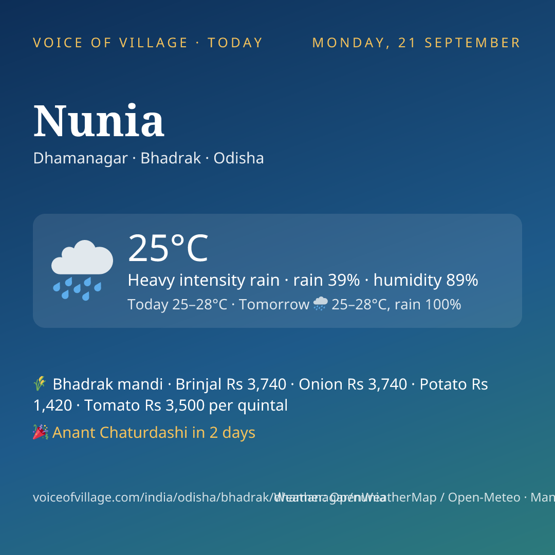Nunia today