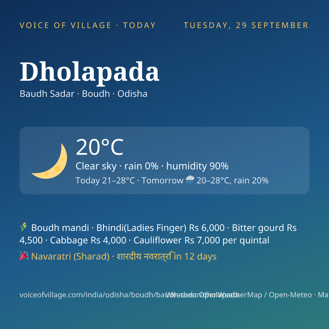 Dholapada today