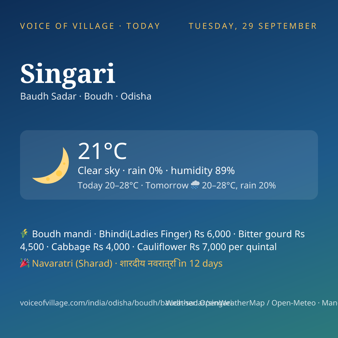 Singari today