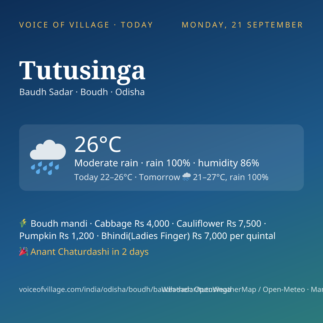 Tutusinga today