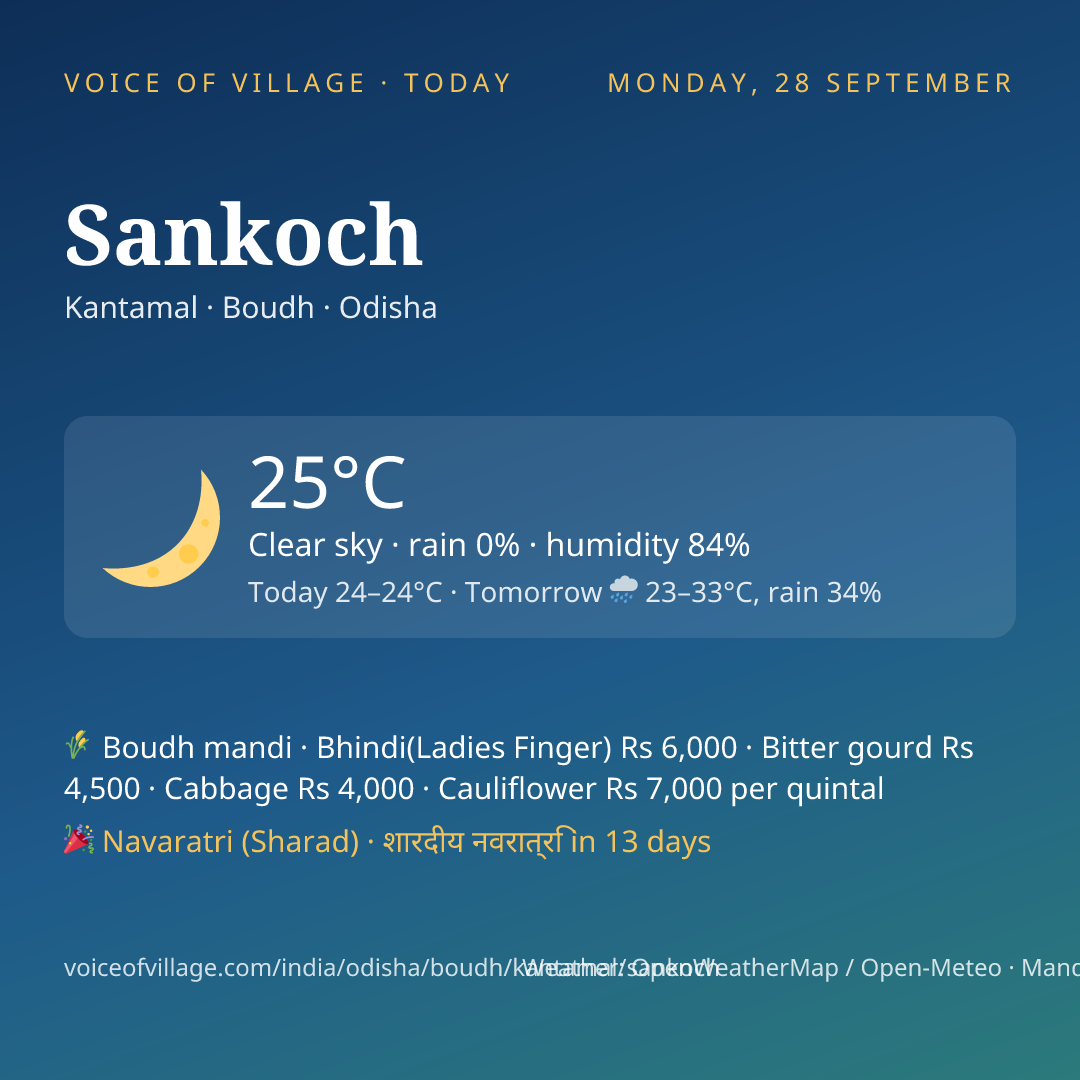 Sankoch today