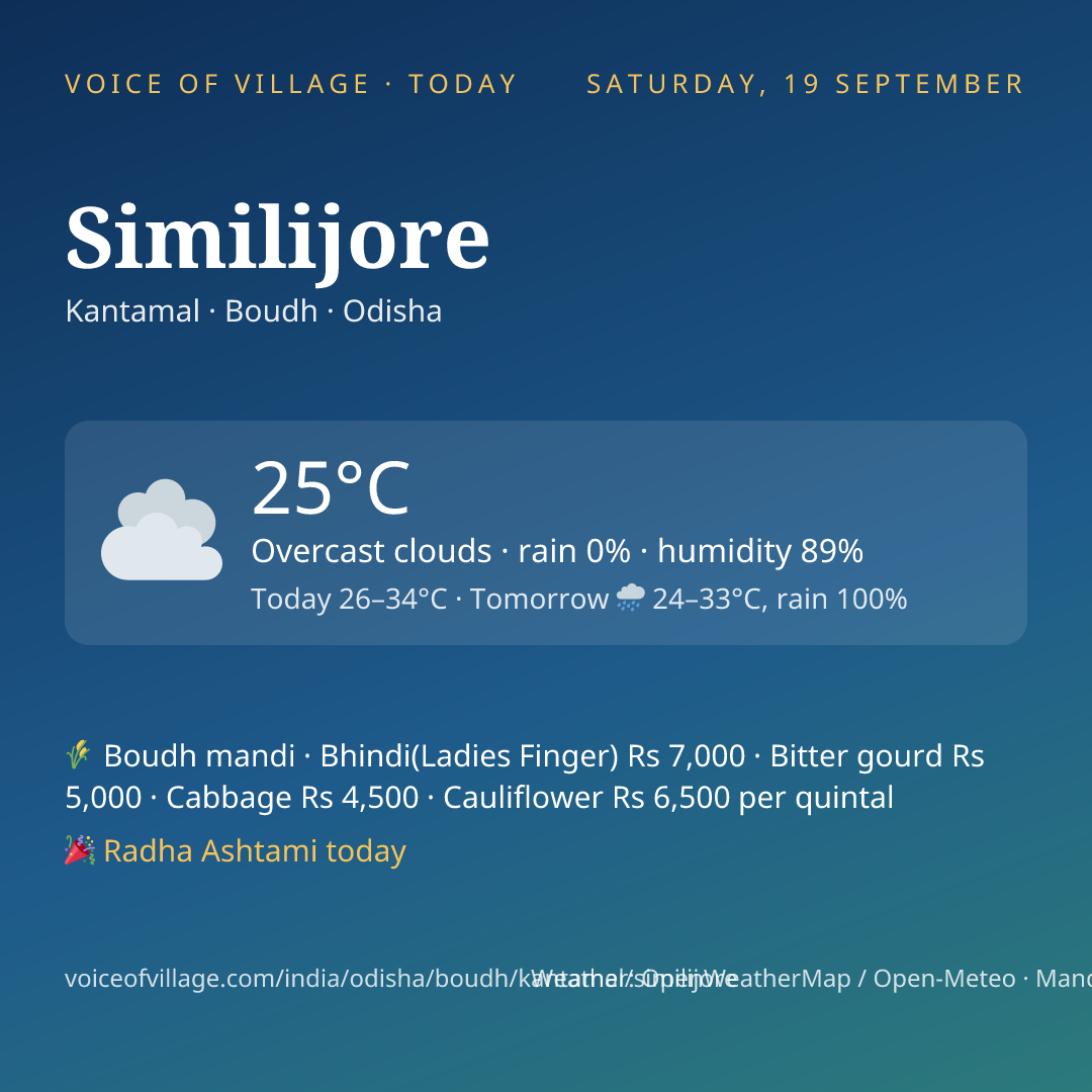 Similijore today