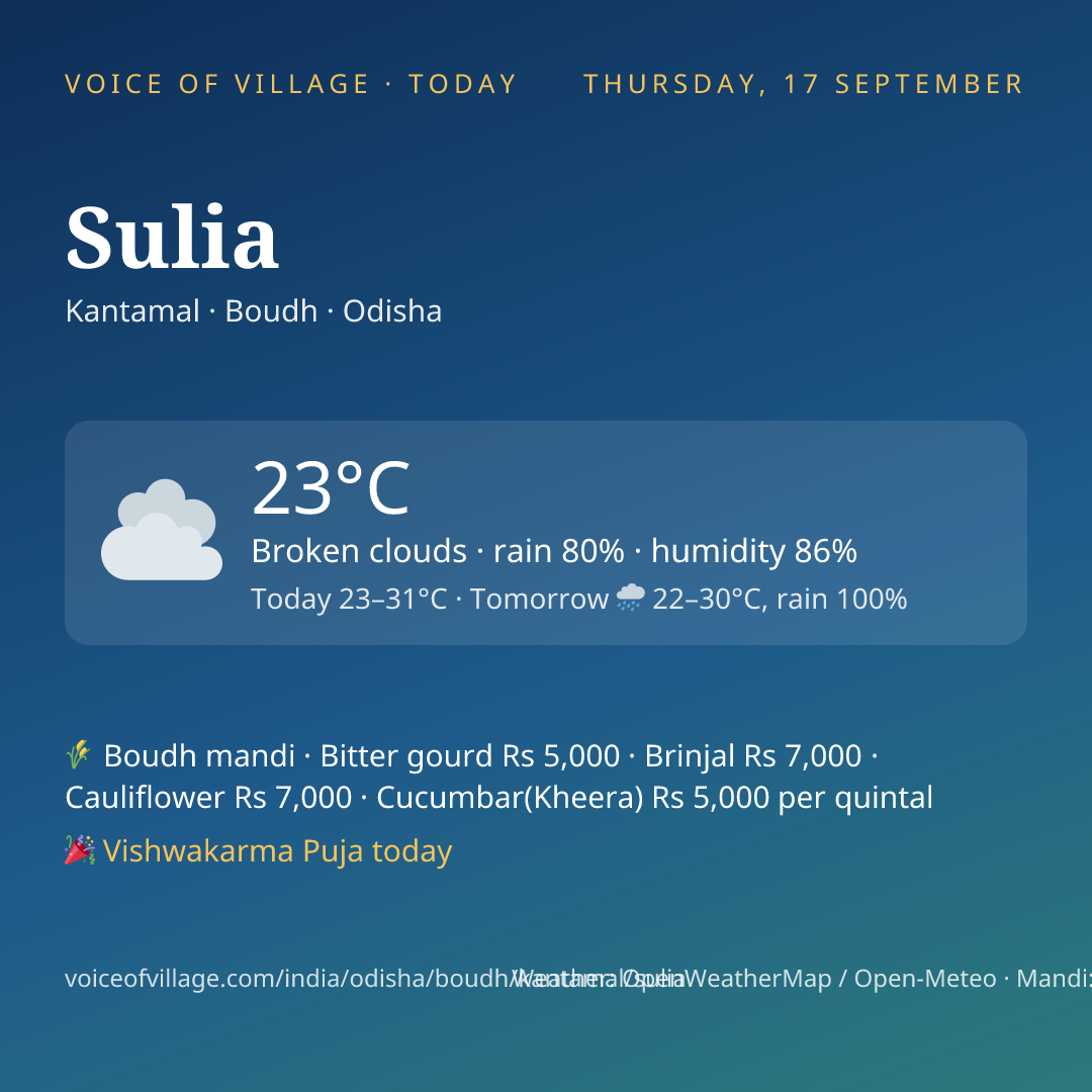Sulia today