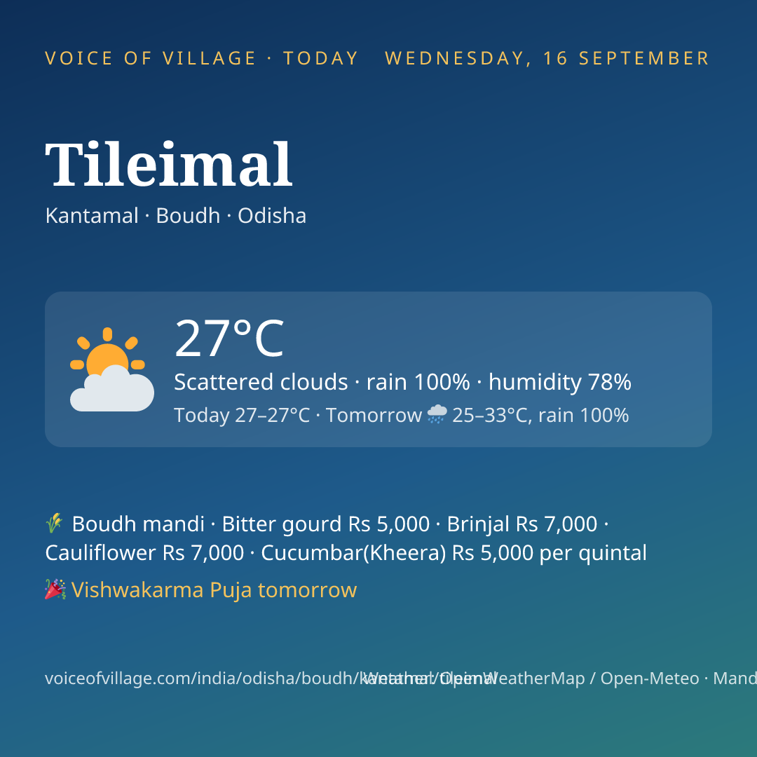 Tileimal today