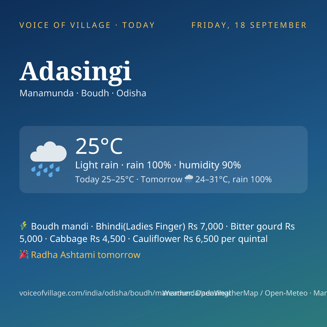 Adasingi today