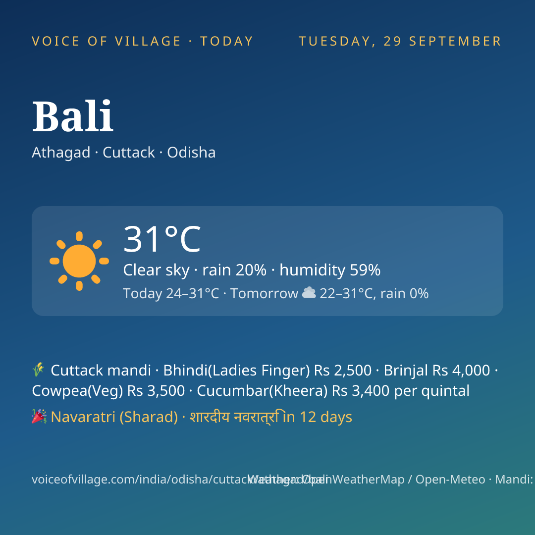 Bali today