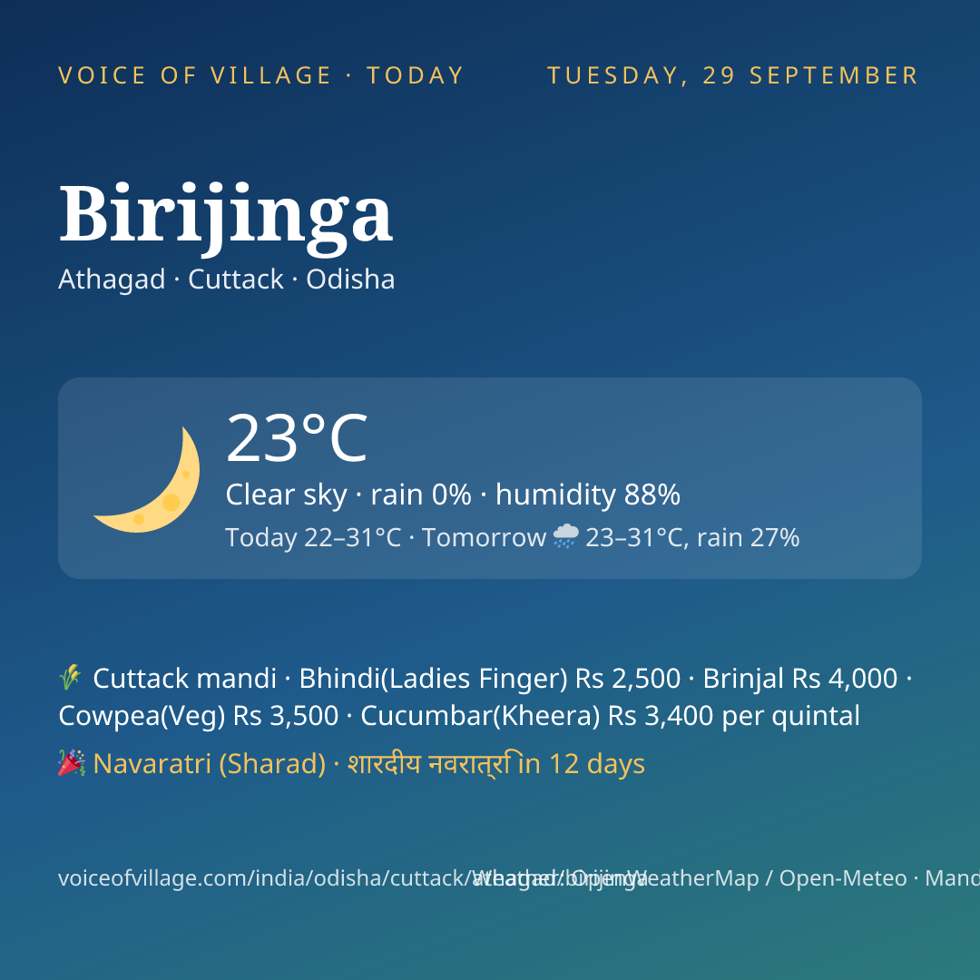 Birijinga today