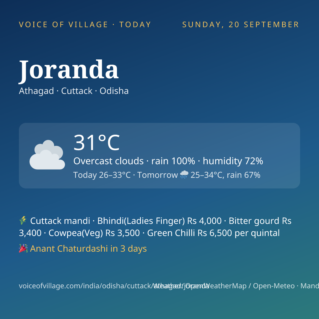 Joranda today