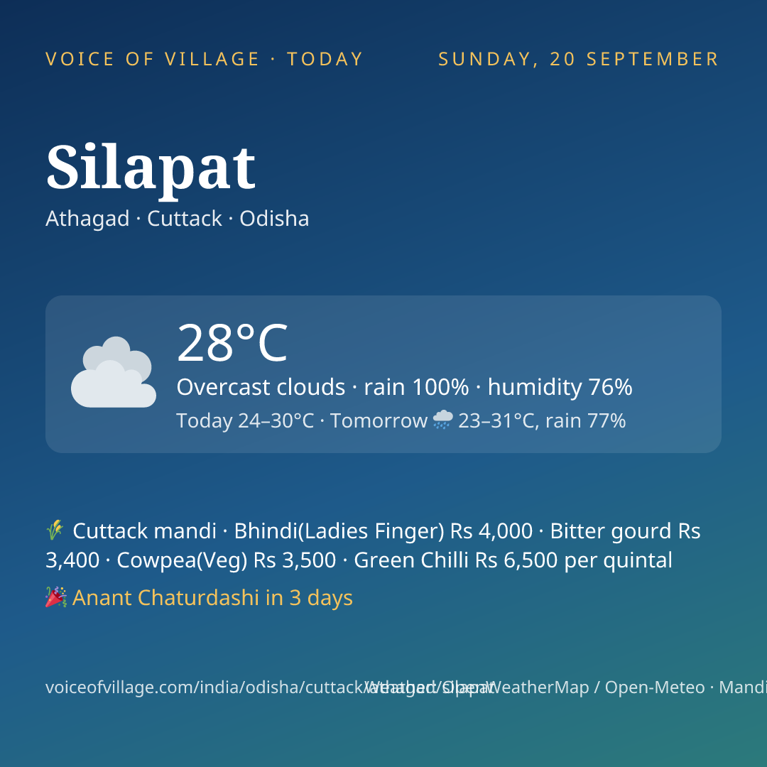 Silapat today