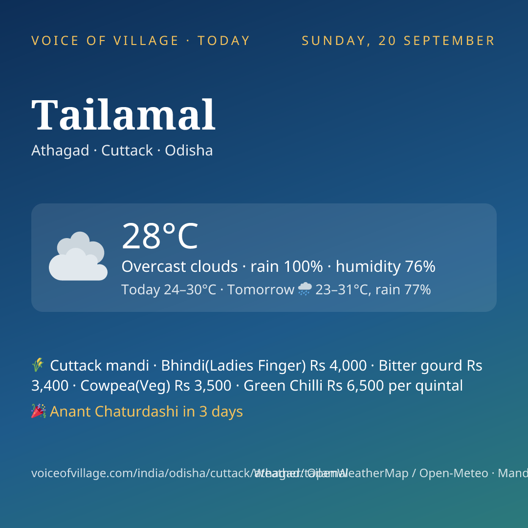 Tailamal today